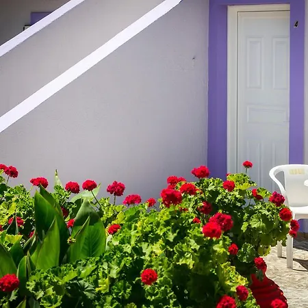 Dk House Apartamento Lassi (Kefalonia)